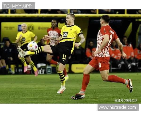 勒沃库森主场豪取胜利，弗赖堡难逃失利命运