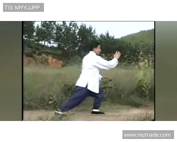 探索杨式太极拳八式的内涵与技巧提升之道